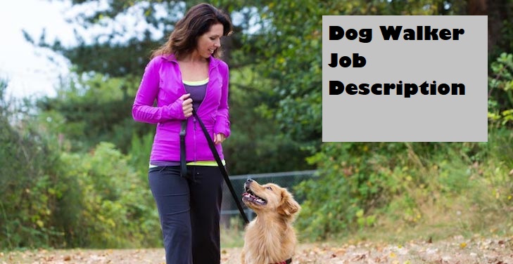 Dog Walker Job Description for Resume Pet Sitter Duties