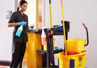 Housekeeper Skills Resume Page Image