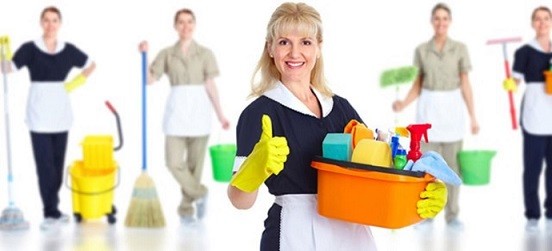 Housemaid Resume Sample Page Image