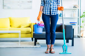 Housemaid Skills Page Image