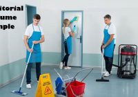 Janitorial-Resume-Sample-Page-Image