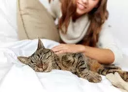 Cat Sitter Resume Sample - CLR